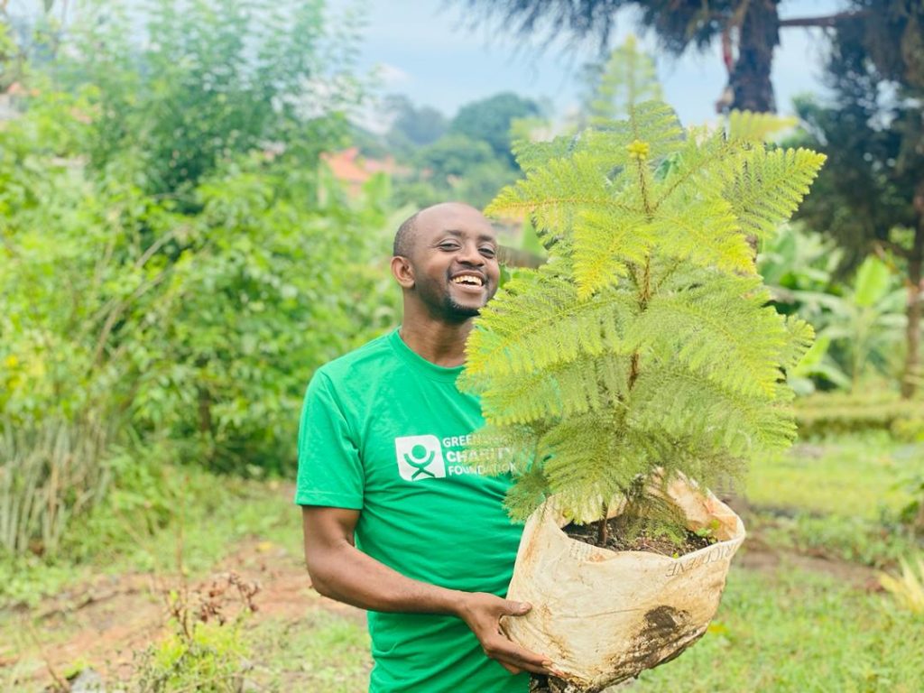 Member carrying seedling